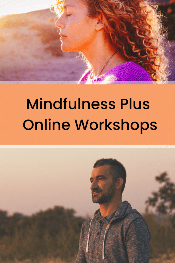 Mindfulness Plus Sessions - Mindfulness Works Australia